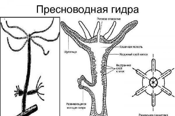 Кракен сайт vtor run